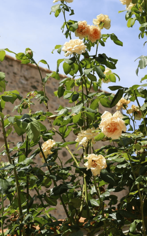 exterieur caldera (2)