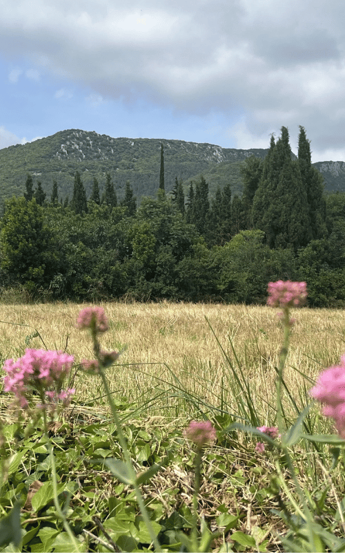 exterieur caldera (4)